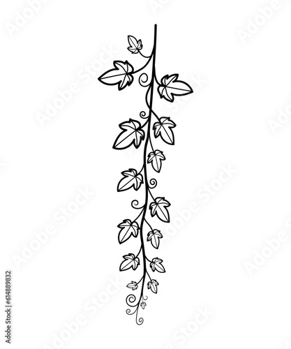 Ivy branches line art. Botanical vector illustration for design invitation card, cover, business, certificate, document. 
