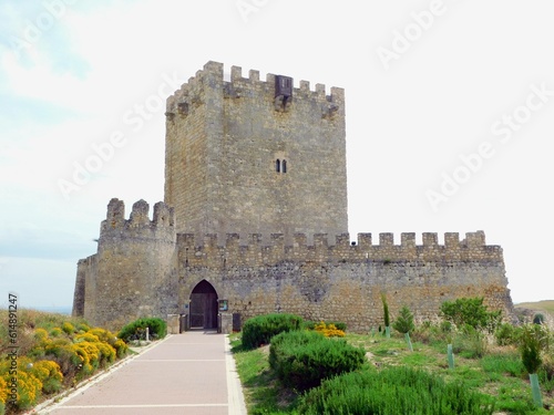 Tiedra castle in Valladolid province photo
