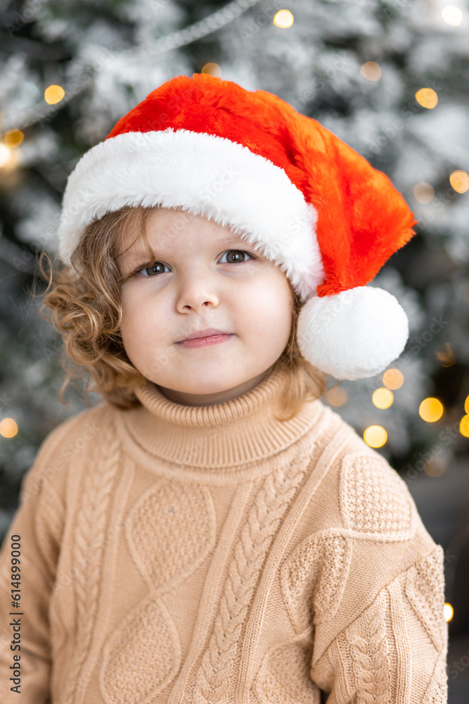 Portrait of a cute little girl in a beautiful knitted sweater ad a red Santa hat near decorated Christmas and new year tree at home. Smiling, cheerful and happy, holding red gift box Portrait of a cute little girl in a beautiful knitted sweater ad a red Santa hat near decorated Christmas and new year tree at home. Smiling, cheerful and happy, holding red gift box