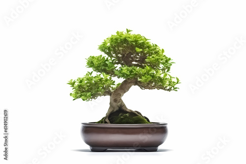 Small tree bonsai isolated on white background. Generative AI