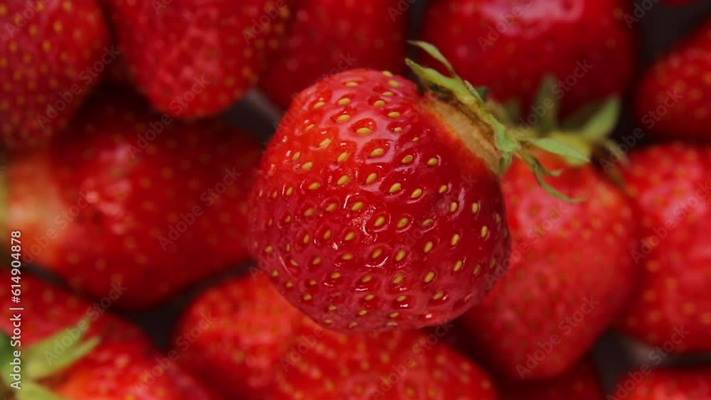 Strawberries rotate against the background of strawberries. Garden strawberries close-up. Fresh fruit. Summer berries. Strawberries rotate against the background of strawberries. Garden strawberries close-up. Fresh fruit. Summer berries.