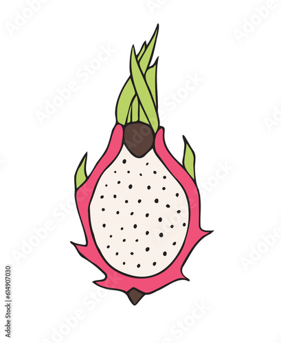 Vector hand drawn sketch doodle colored dragon fruit isolated on white background