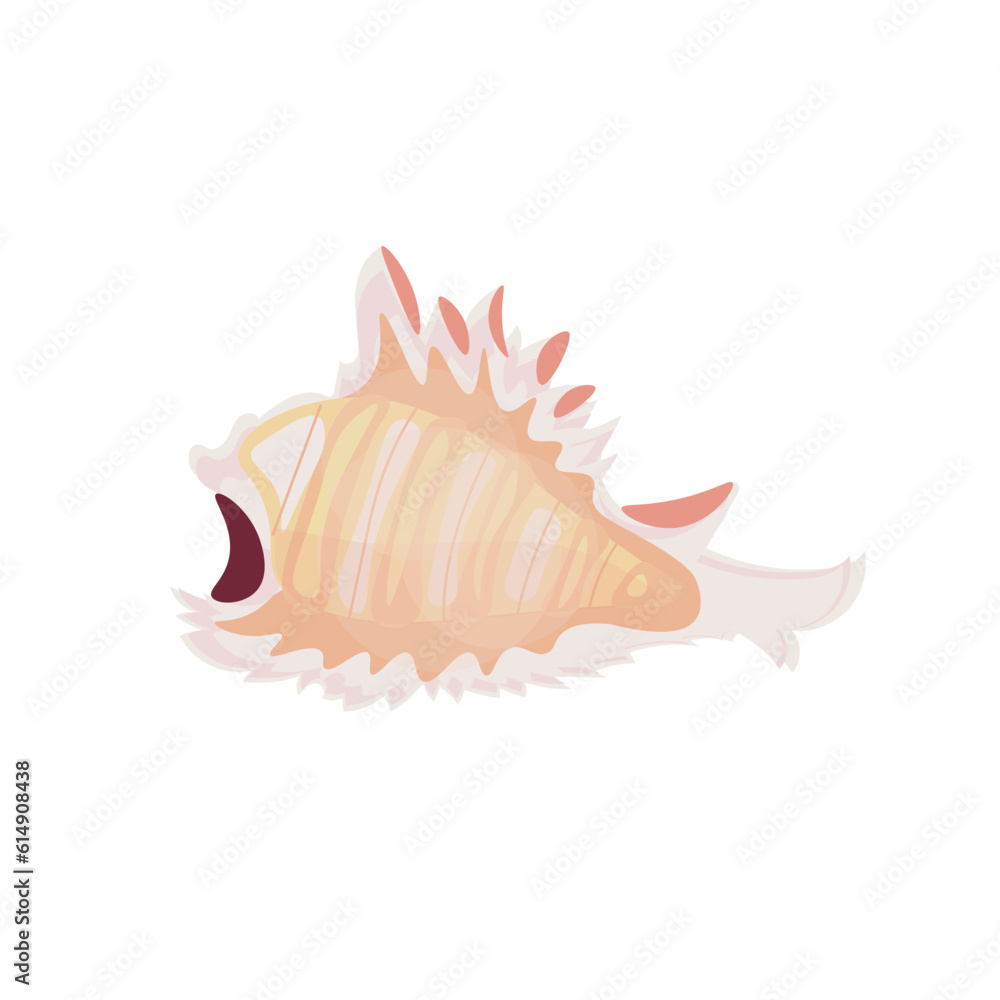 Beautiful sea shell on white background Beautiful sea shell on white background