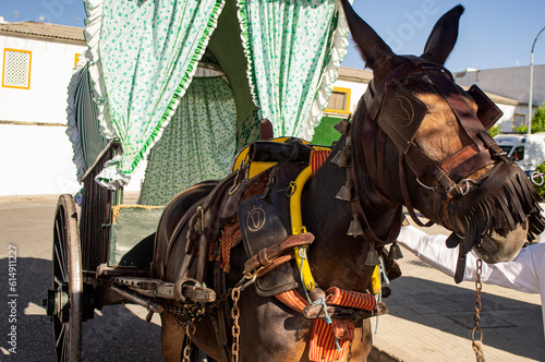 Typical Andalusian horse-drawn carriage.