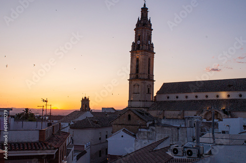 Bujalance church tower at sunset. photo