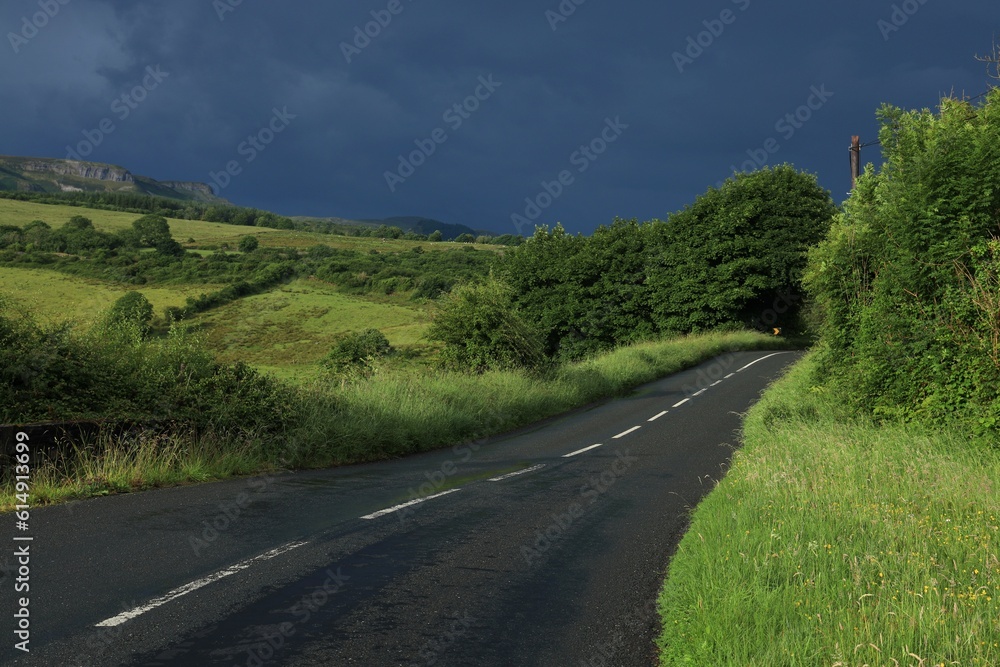 Road in rural Ireland bordered by fields luminated with summer evening sunlight against backdrop of overcast skies