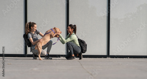 After jogging, the two girls relax and have fun with their dog, cherishing moments of laughter.