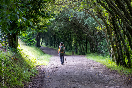 Young woman pilgrim walking on a trail of the way of saint james. Camino de Santiago