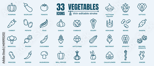 Vegetables - thin line web icon set. Outline icons collection. Simple vector illustration.