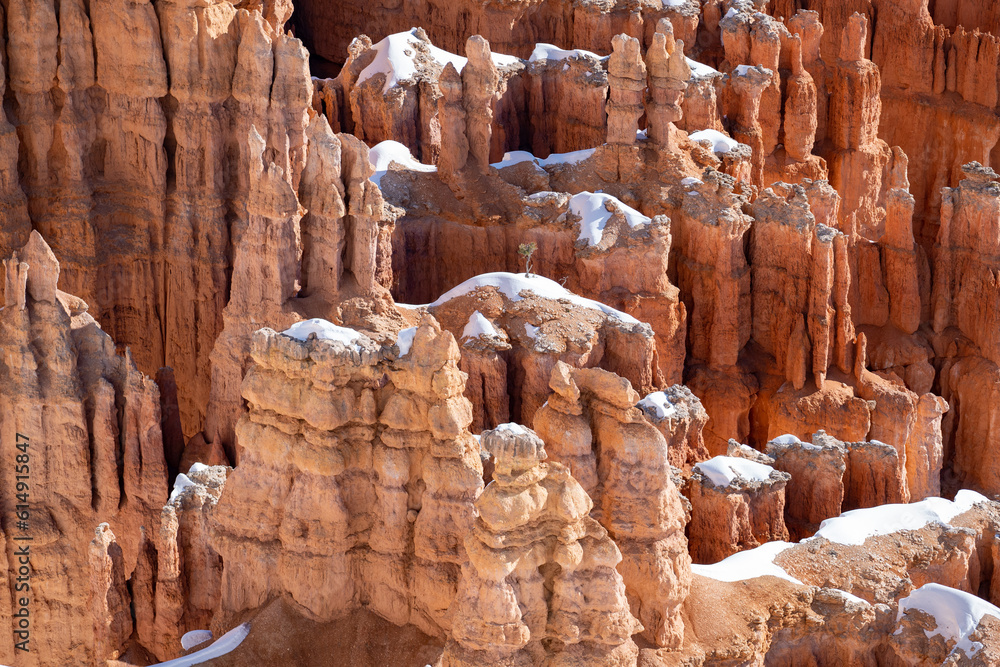 Bryce Canyon National Park Hoodoos in the Winter