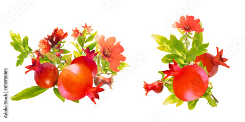 pomegranate tree fruits and flowering  blossoms branches with pomegranate flowers set