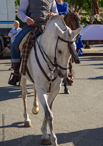 Horse with errajes in fair of Andalusia.