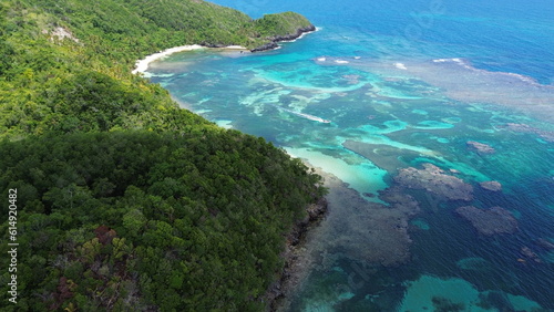 Playa Ermitano  El Valle  Samana  beach in Dominican Republic. Aerial drone photo.