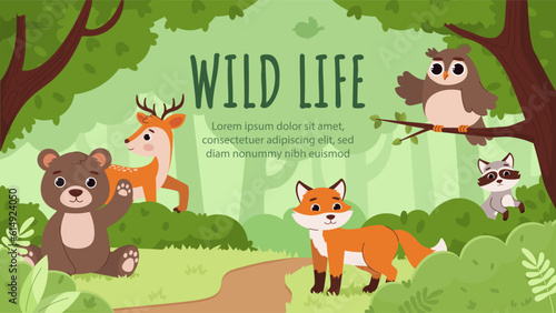 Animals in rainforest concept