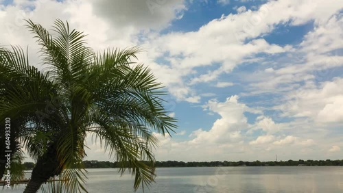 Lake and Trees time lapse, wales, florida