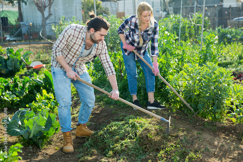 Positive couple of male and female farmers working in garden using rake and hoe