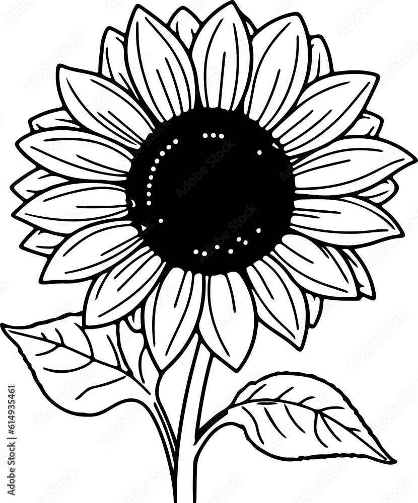 Fototapeta premium Sunflower clip art floral garden summer