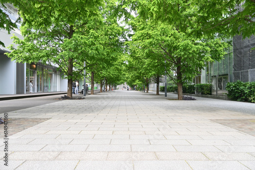 Canvastavla alley in the city park