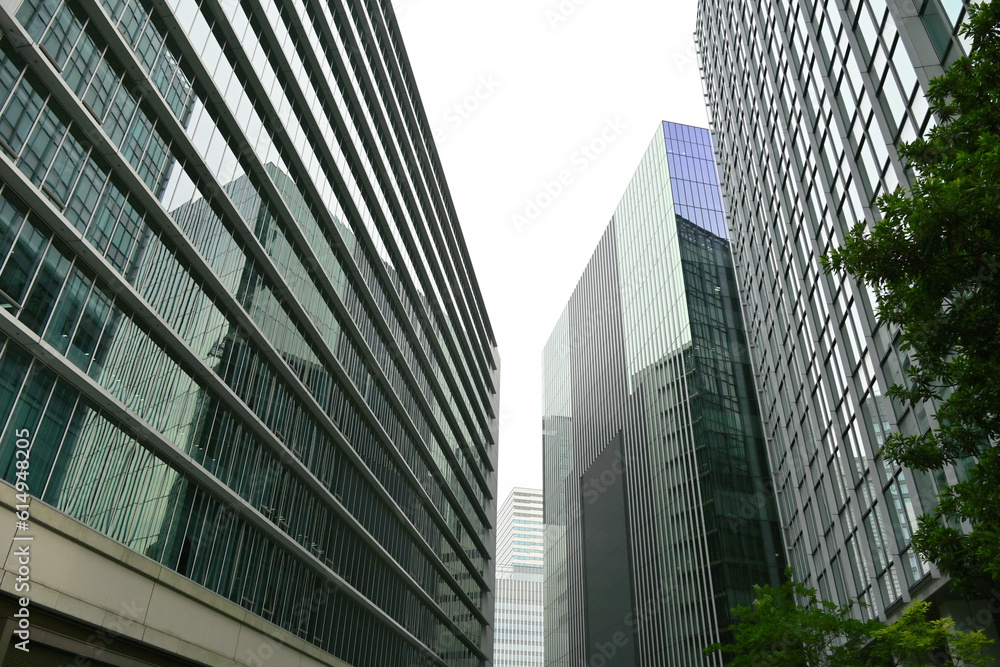 Obraz premium modern office building