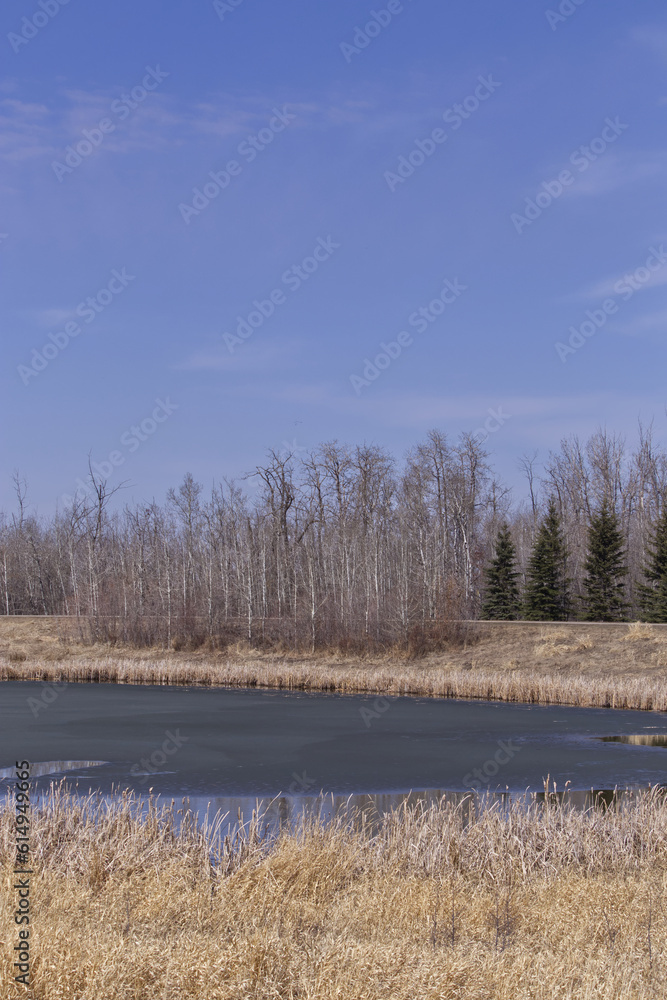 Pylypow Wetlands in the Spring Pylypow Wetlands in the Spring