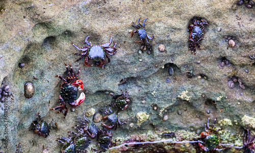 View inside of one of the tide pools in La Jolla California. photo