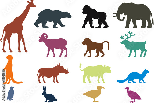 Mammal Animals  wildlife icons  forest habitat. High resolution illustration. Easy to reuse for  Veterinary clinic or medicine packing or marketing poster  banner and flyer.