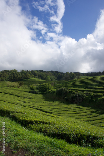 Azores 
