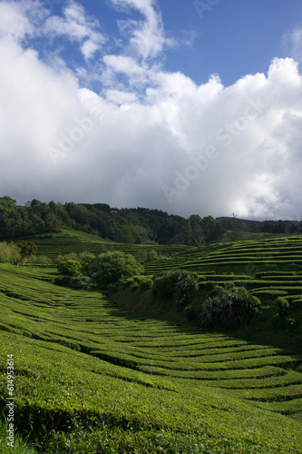 Azores 