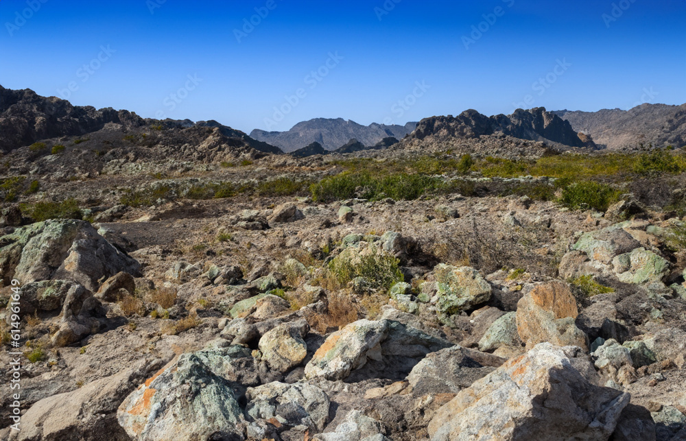 wild landscapes with rocks and grass wild landscapes with rocks and grass