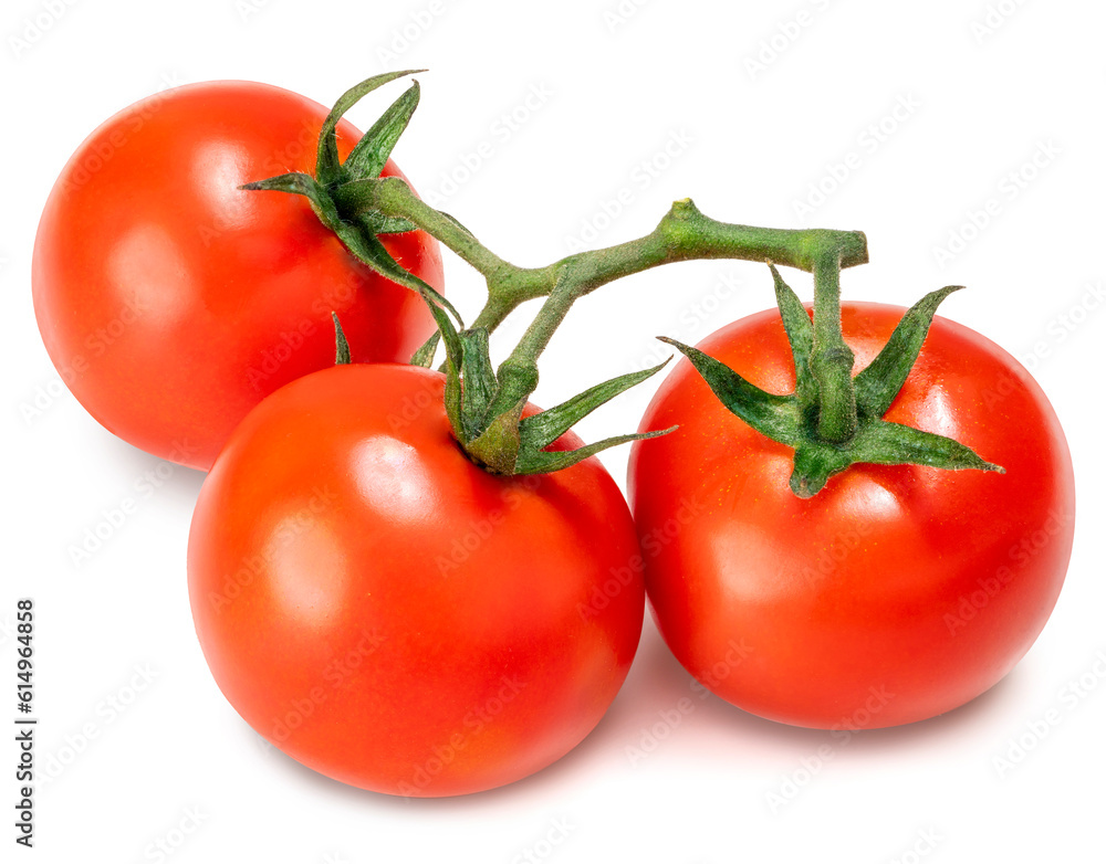 Fresh Tomato isolated on white background, Red Tomato on White Background With clipping path. Fresh Tomato isolated on white background, Red Tomato on White Background With clipping path.