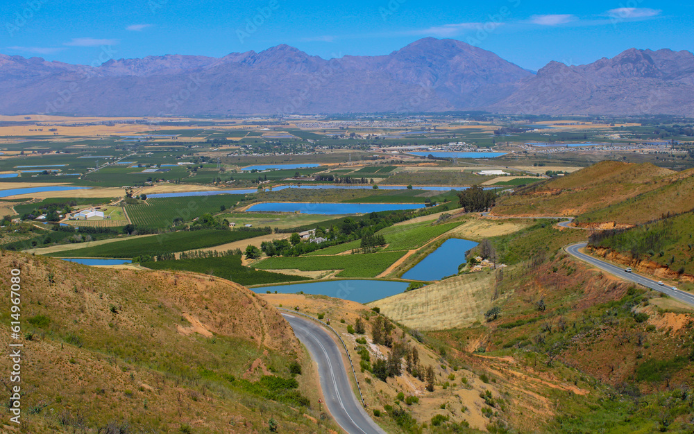 Weinanbaugebiet in der Weinregion und Stadt Stellenbosch