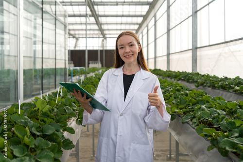 Caucasian female botanical scientist raise finger thumb up while holding clipboard. Working atmosphere in indoor strawberries farm. The concept of growing organic vegetables.