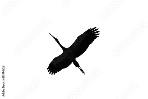 silhouette of a flying bird