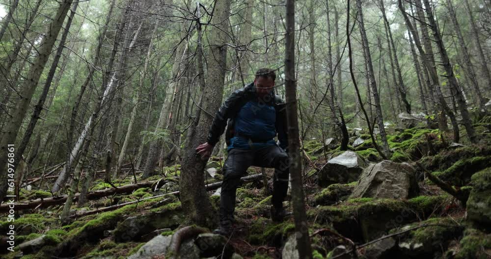 A young man in a mountain hiking with a backpack among the trees in a dense foggy forest. Single hike in long weather. A young man in a mountain hiking with a backpack among the trees in a dense foggy forest. Single hike in long weather.