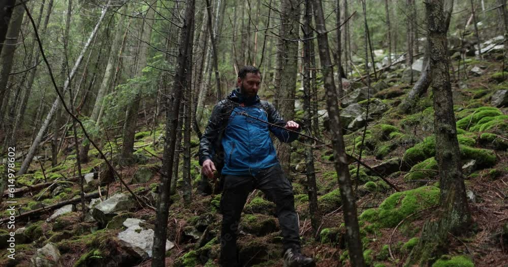 A young man in a mountain hiking with a backpack among the trees in a dense foggy forest. Single hike in long weather. A young man in a mountain hiking with a backpack among the trees in a dense foggy forest. Single hike in long weather.