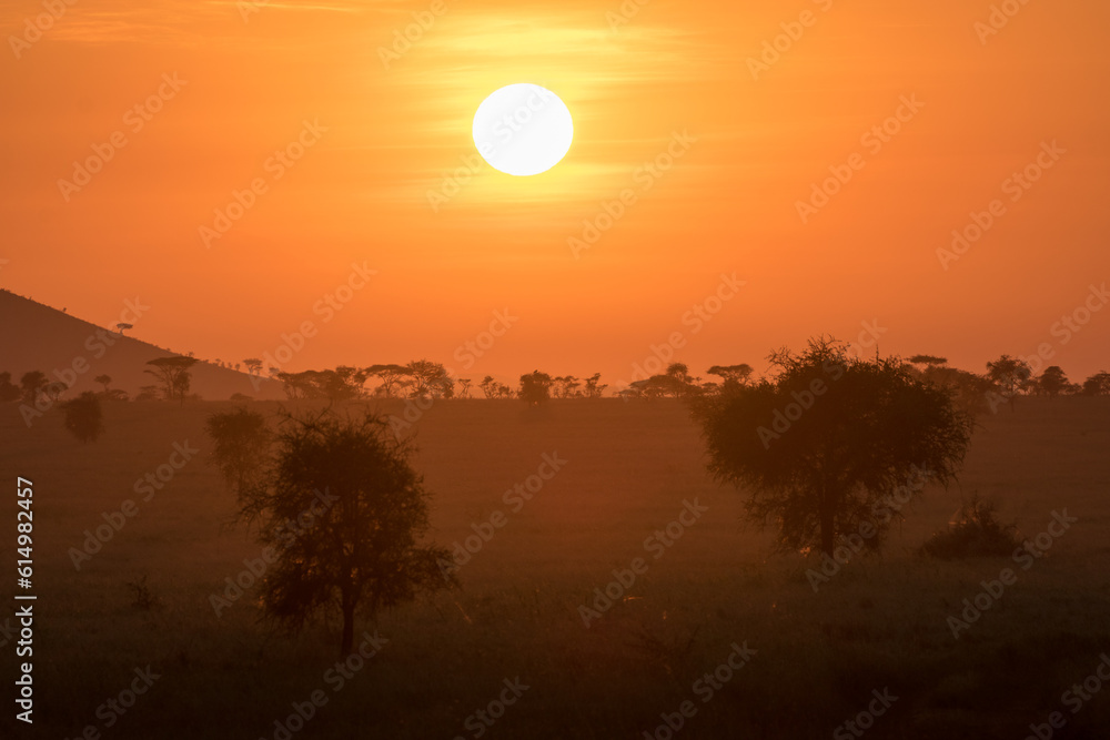 Sunset with red sun acacia trees and mountain. Serengeti National Park Tanzania