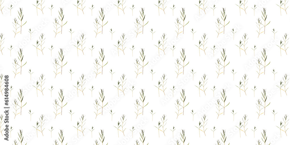 Botanical collection. Plant background. Pattern created from a seamless pattern. Delicate thin green twigs isolated on a white background. Botanical collection. Plant background. Pattern created from a seamless pattern. Delicate thin green twigs isolated on a white background.