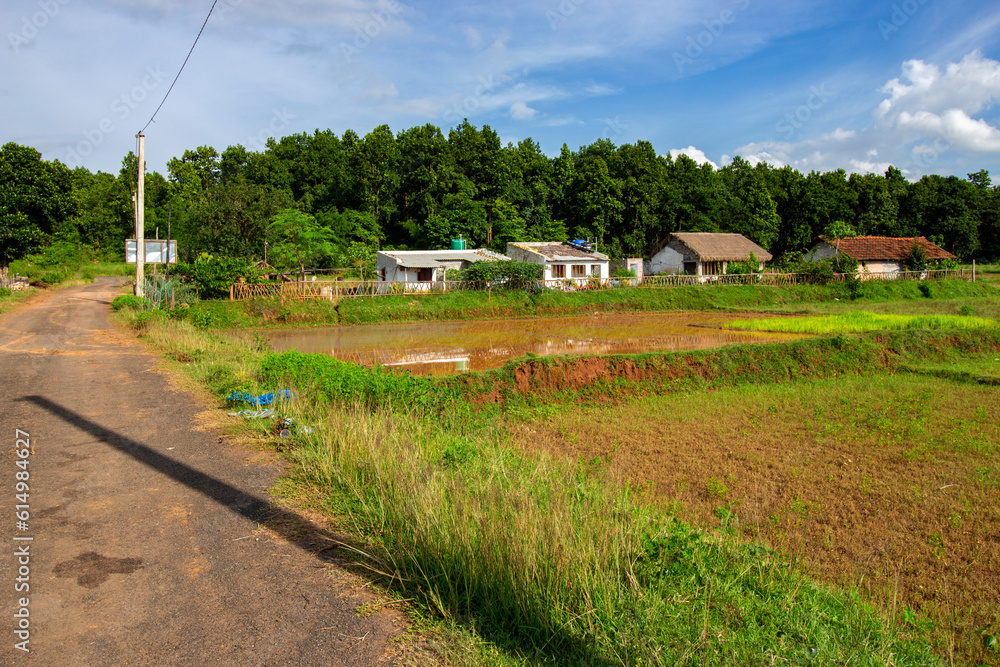 A beautiful rural home of Jhargram West Bengal with flowers in foreground and blue sky and white clouds in background. Rural village house of India. A beautiful rural home of Jhargram West Bengal with flowers in foreground and blue sky and white clouds in background. Rural village house of India.