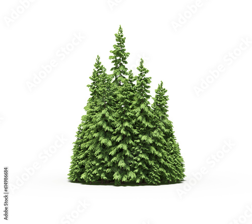 group of trees with a shadow on the ground, isolated on a transparent background, trees in the forest, 3D illustration, cg render
