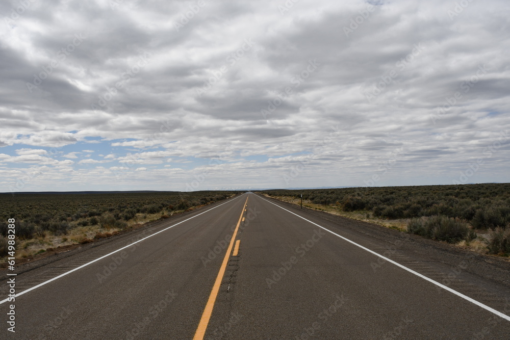 Road through the desert Road through the desert
