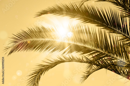 Fototapeta Naklejka Na Ścianę i Meble -  Sun rays through the palm tree leaves background. Summer sunset scenery. Holidays and summertime background.