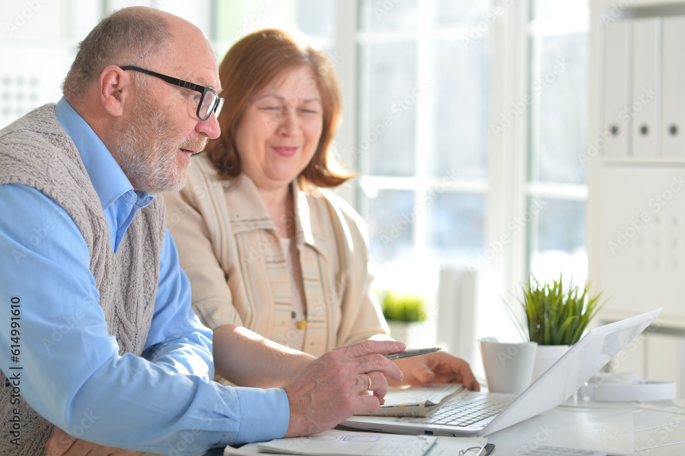 Fototapeta premium Two senior business people