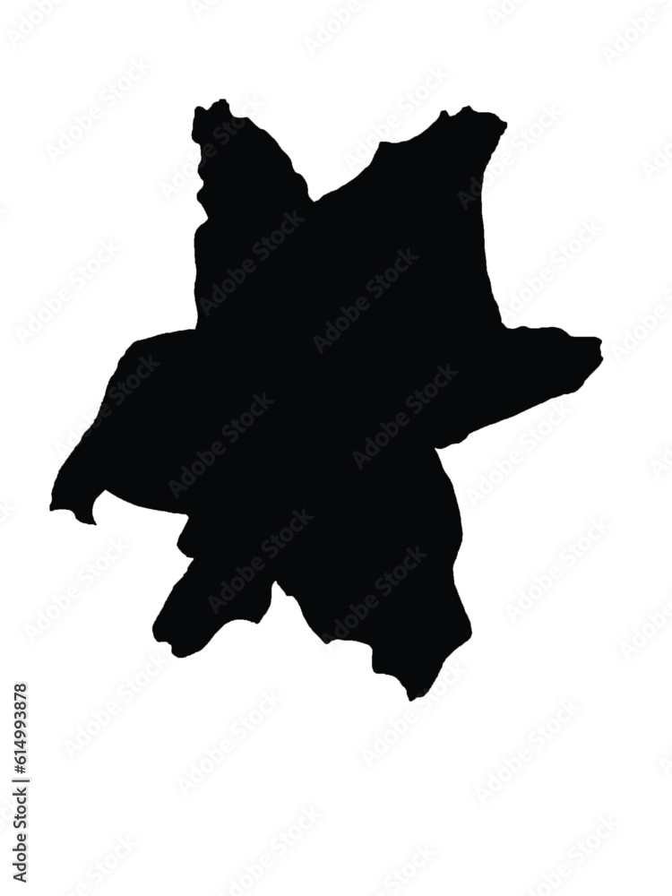 a silhouette of garden flower. a silhouette of garden flower.