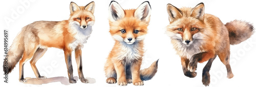 Watercolour illustration of three foxes isolated on white background as transparent PNG, generative AI animal clipart bundle