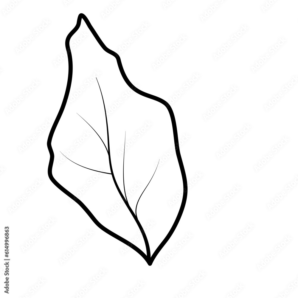 Set of leaves. Hand drawn decorative elements. Set of leaves. Hand drawn decorative elements.