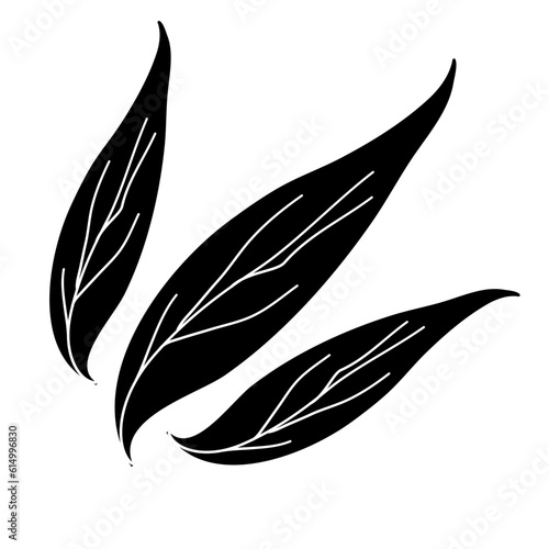 Set of leaves. Hand drawn decorative elements. © Fadli