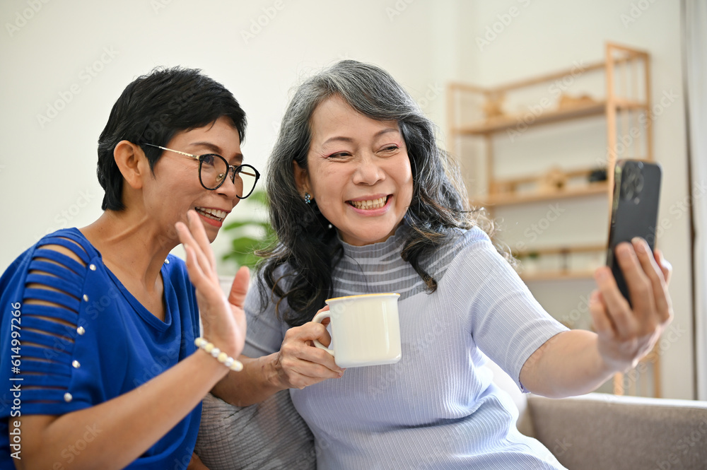 Two retired middle-aged Asian women are talking with their grandchild through a video call