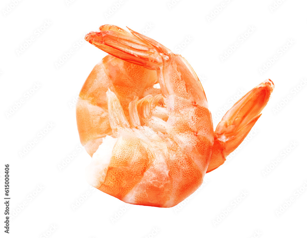 Shrimps isolated