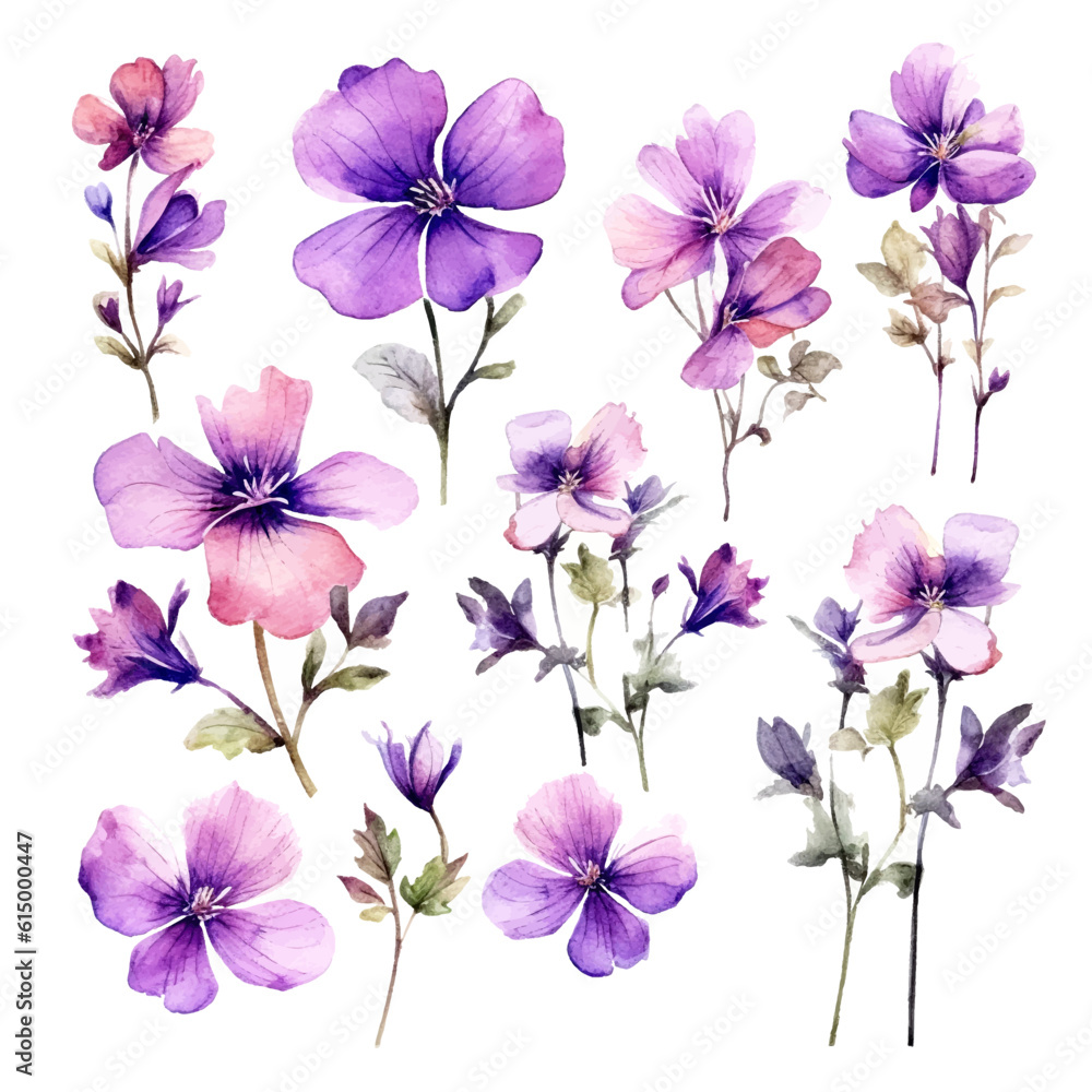 Set of purple floral watecolor. flowers and leaves. Floral poster, invitation floral. Vector arrangements for greeting card or invitation design	