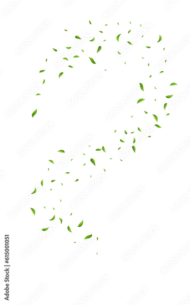 Grassy Leaves Flying Vector White Background Grassy Leaves Flying Vector White Background